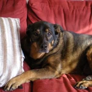 Meet your Posher, Maggie